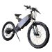 Electric bicycle Horza Teleport PD-3000